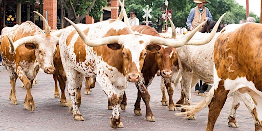 Fort Worth Stockyards National Historic District - FREE Guided Walking Tour
