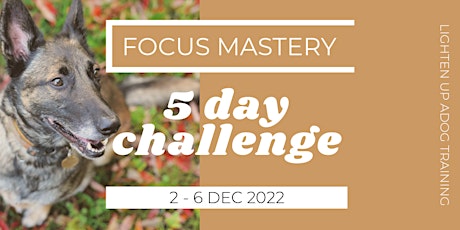 FOCUS MASTERY 5-day challenge