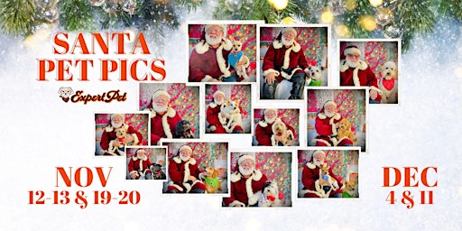 Holiday Pet Pictures with Santa in San Francisco - Nov & Dec