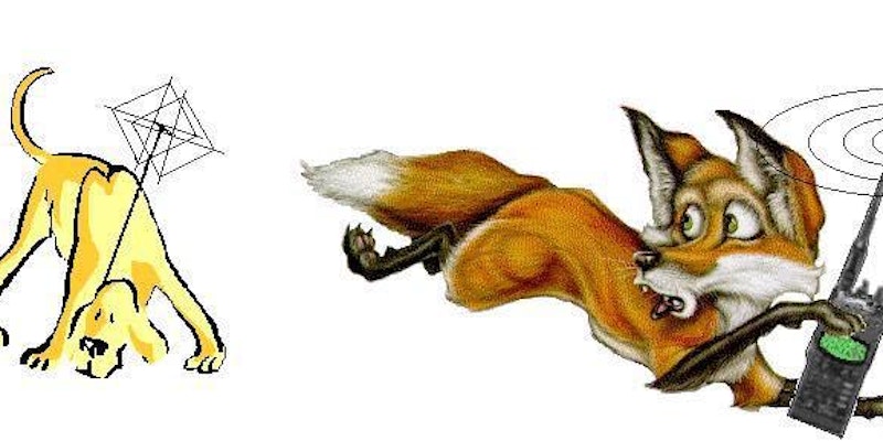 Fox hunt