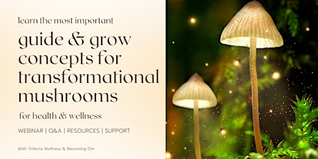 Guidework Considerations & Grow Concepts for Transformational Mushrooms