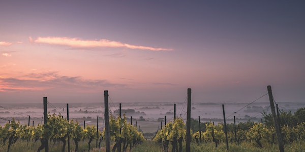 The Union Des Grands Crus de Bordeaux Wine Tasting Event