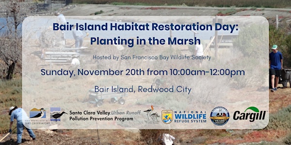 Bair Island Habitat Restoration Day: Planting in the Marsh