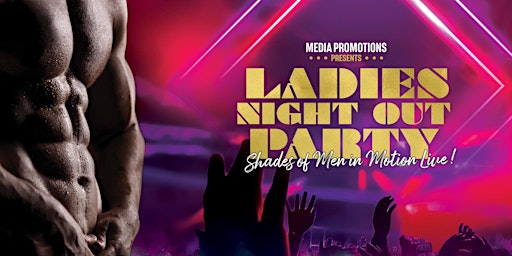 A LADIES NIGHT OUT PARTY® TRIBUTE PERFORMANCE