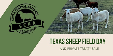 Texas Sheep Field Day