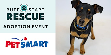 St. Louis Park PetSmart Adoption Day Event