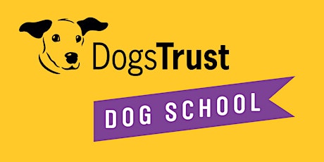 Understanding Separation Anxiety - Dog School Northern Ireland primary image