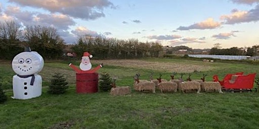 Master Farms' Christmas Tree Fest