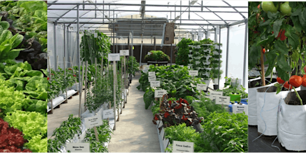 Greenhouse and Outdoor Hydroponics Short Course for Teachers