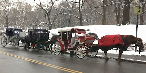 From Horse Drawn Carriages to eCarriages