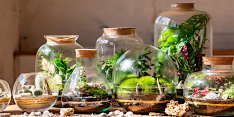 Make your own Terrarium with Tropical Glass London