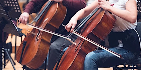 Salon 58 features #1 Two is more than one: Cellos