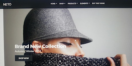 Imagen principal de Creación de una web con shop online para diseñadores de moda (16h)