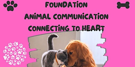 Foundation to Animal Communication primary image