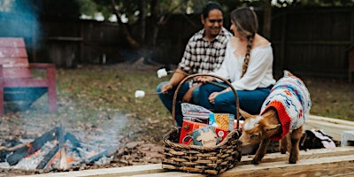 Imagem principal de Roasting Marshmallows with Goats