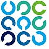 Logotipo da organização ISACA Belgium