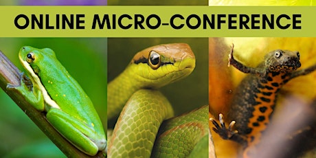 Reptiles and Amphibians - Online Micro-Conference