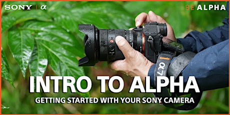 Primaire afbeelding van Intro to Alpha: Introduction to Sony Cameras Live Online with Samy's Camera