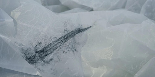 Drawn from Ice: a conversation between art and alpine archaeology
