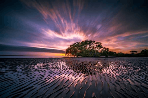 Spectacular Immersive Photography Experience Nature & Landscapes