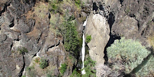 Bear Creek Waterfall Hike