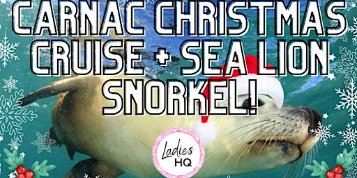 Carnac Island Christmas Cruise + Sea Lion Snorkel!