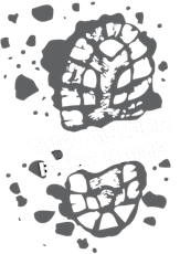 Teen Author Boot Camp 2014