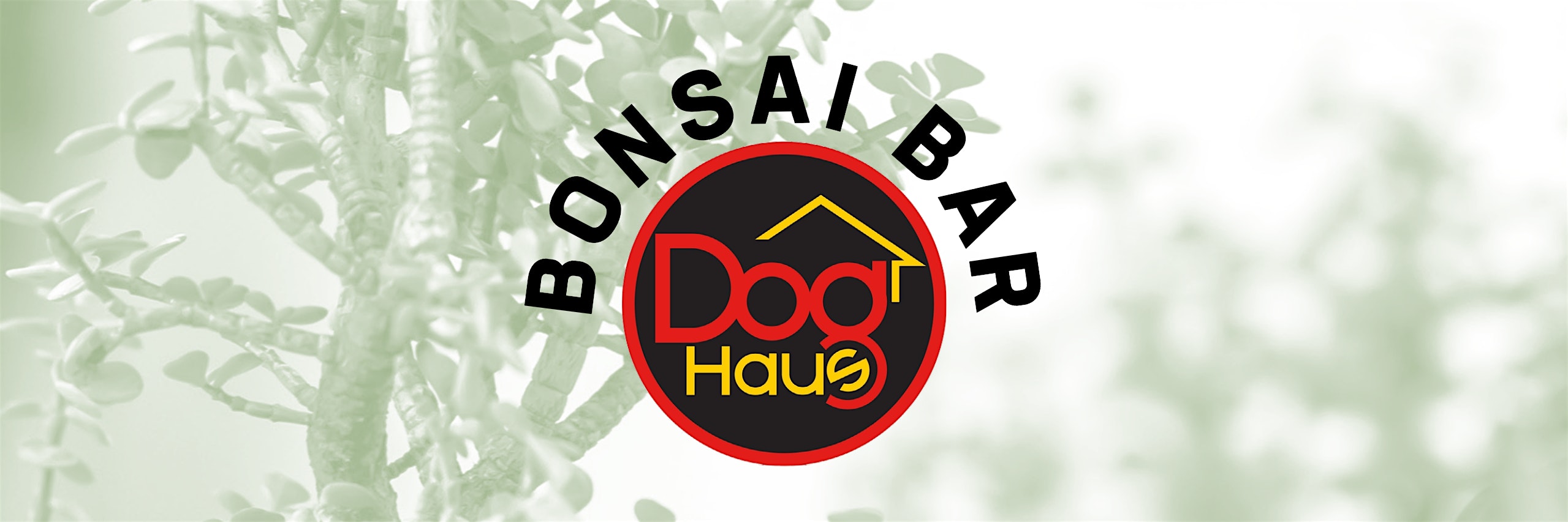 Bonsai Bar @ Dog Haus Biergarten – Clifton Park