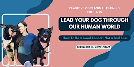 Lead Your Dog Through Our Human World