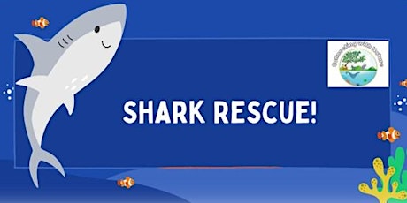 [Connecting with Nature] Shark Rescue!
