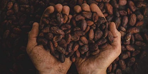 Sjamaanse Cacao Ceremonie