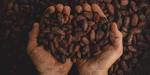 Sjamaanse Cacao Ceremonie