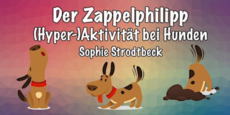 ONLINE-Vortrag Zappelphillip - der quirlige Hund (Sophie Strodtbeck)