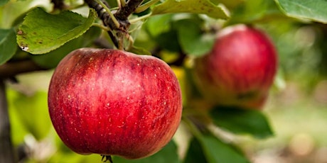 Hauptbild für Brushy Mountain Tree Fruit Meeting 2023