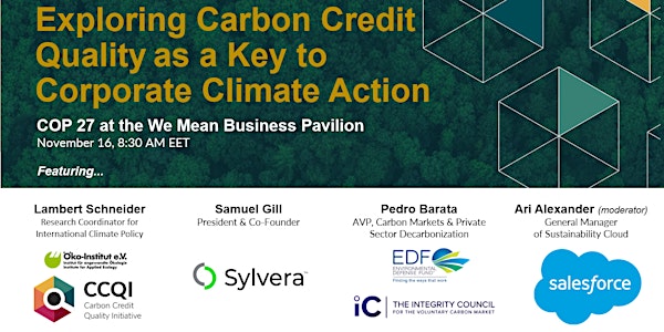 Exploring Carbon Credit Quality as a Key to Corporate Climate Action