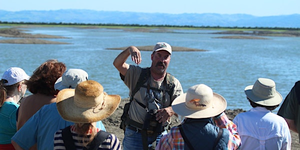 Waterfowl Presentation and Walk at the Baylands with Dave Barry 3-10-18