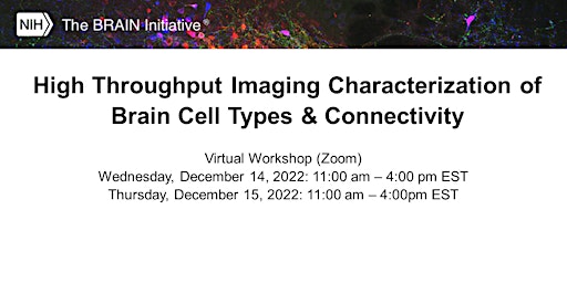 High Throughput Imaging Characterization of Brain Cell Types & Connectivity
