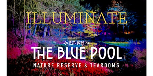 ILLUMINATE at The Blue Pool 2023   January - March