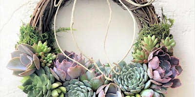 Image principale de Living Spring Succulent Wreath