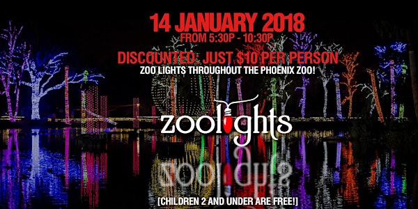 the Springs: ZOOLIGHTS!