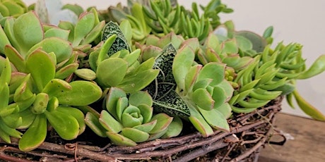 Sustainable Living succulent wreath primary image