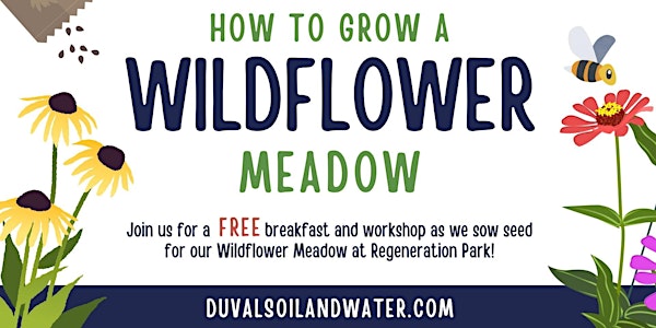 How to Grow a Wildflower Meadow