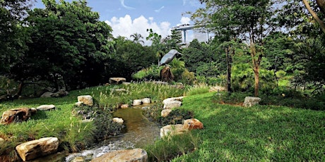 Gardens by the Bay Nature and Sustainability Tours: Urban Wetlands