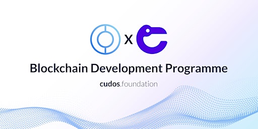 Cudos Foundation Blockchain Development Programme