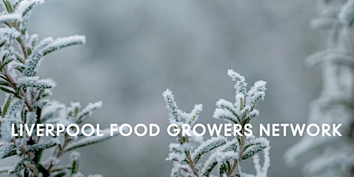 Winter Networking with Liverpool Food Growers Network
