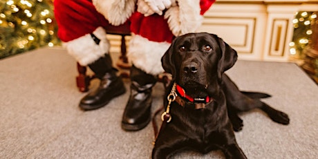 Hauptbild für Dog Photos with Santa