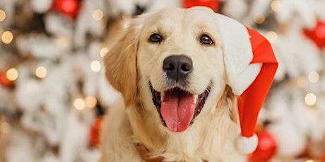 Rosslyn Cheer 2022: Santa Paws Yappy Hour