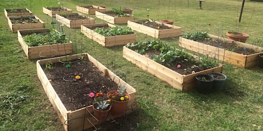 How to Plan or Expand Your Vegetable Garden
