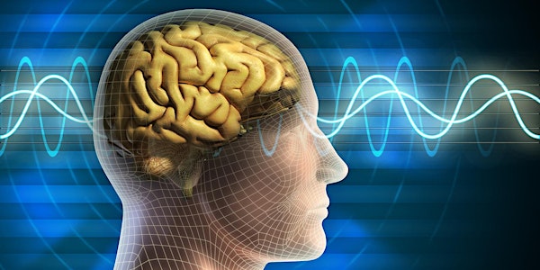 Neuromarketing – LIVE Seminar auf Mallorca!