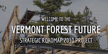 Vermont Forest Future Strategic Roadmap Industry Roundtable - Lyndonville
